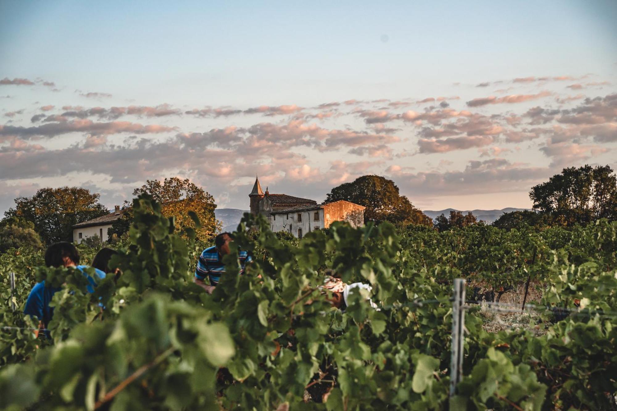 Domaine De Pelican Gignac  Bagian luar foto