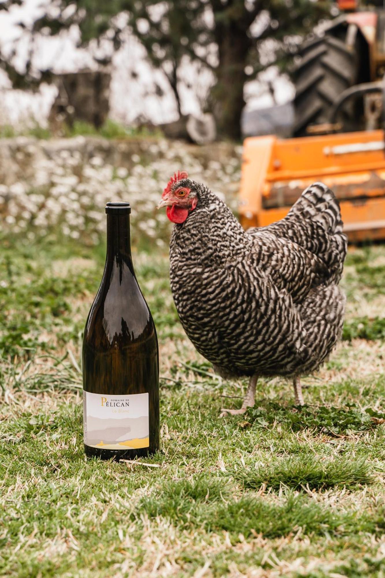 Domaine De Pelican Gignac  Bagian luar foto