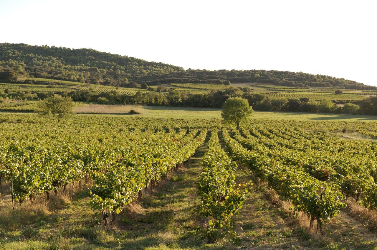 Domaine De Pelican Gignac  Bagian luar foto