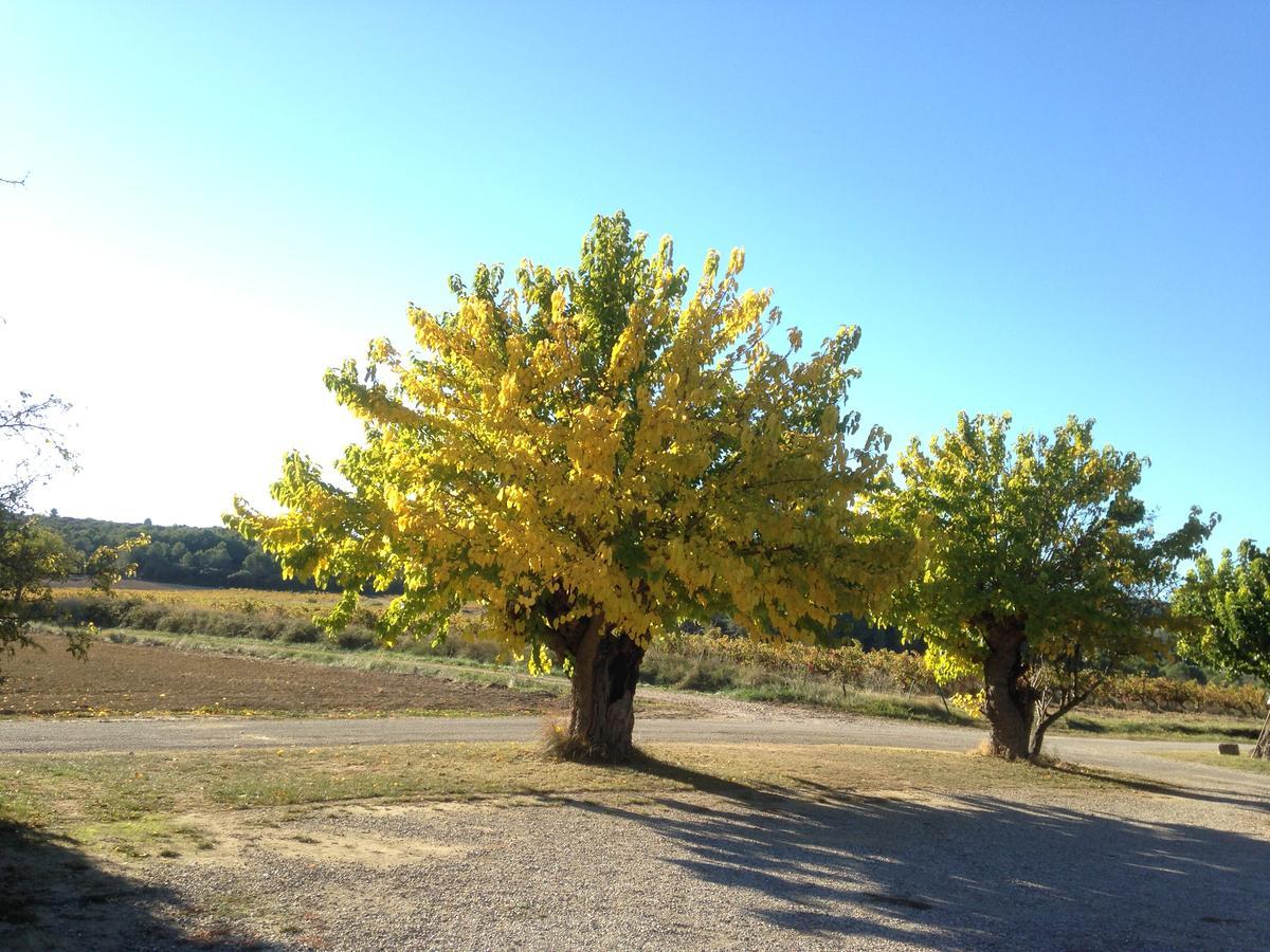 Domaine De Pelican Gignac  Bagian luar foto